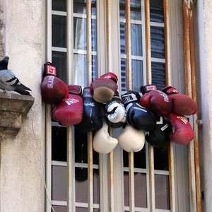 Fenêtre et barreaux recouverts de gants de boxe et un pigeon sur le mur voisin - France  - collection de photos clin d'oeil, catégorie rues